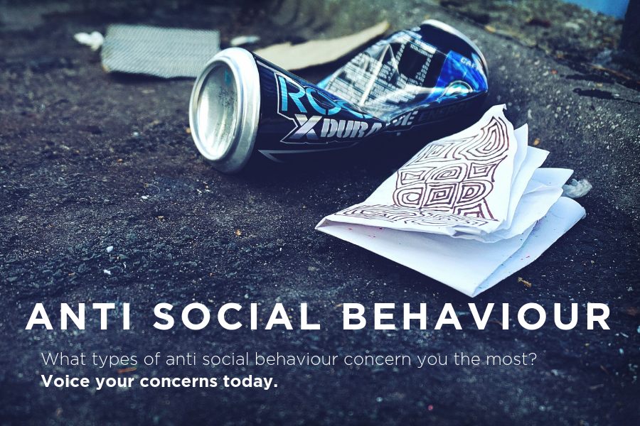 Anti-social behaviour: littering