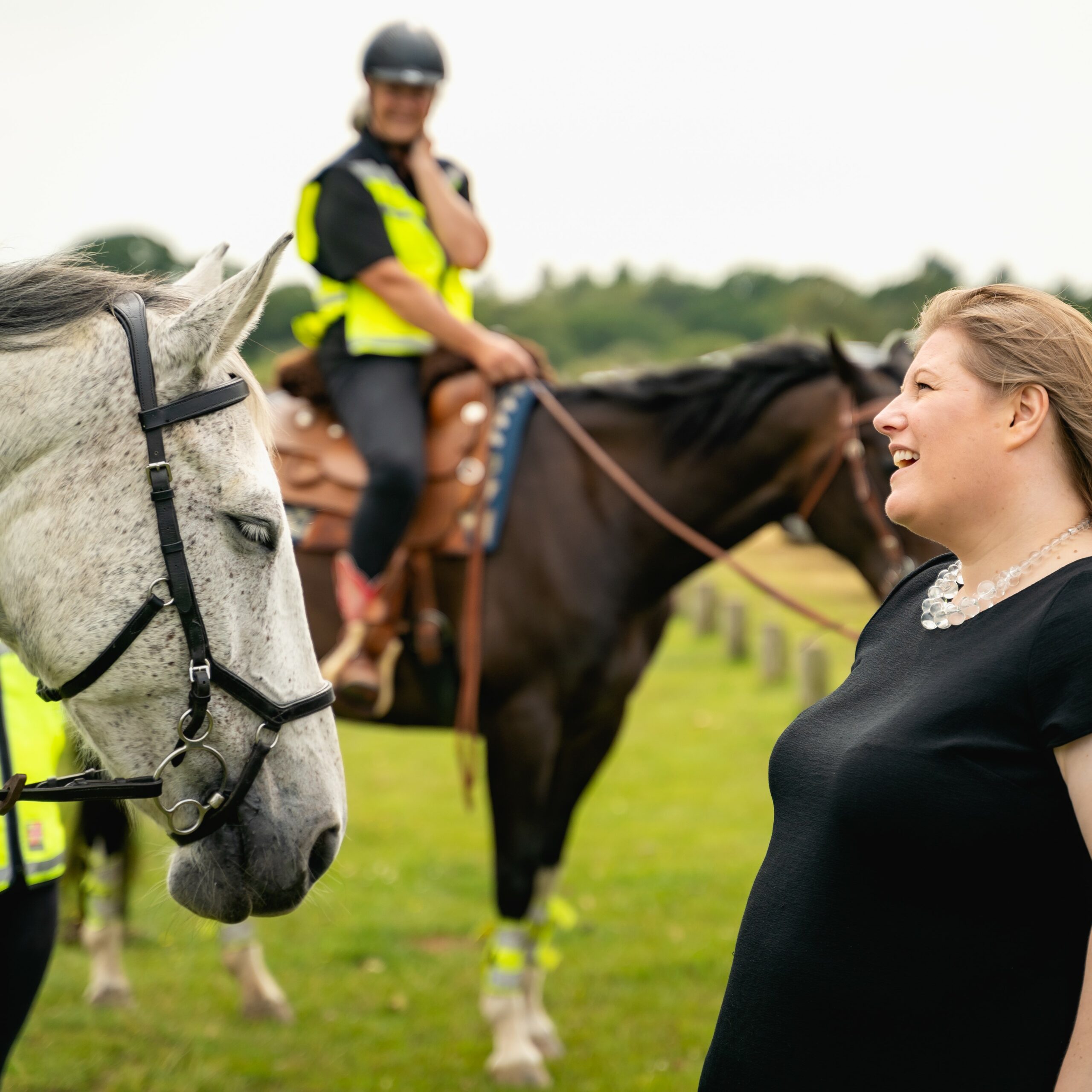 Tackling Crime and Anti-social behaviour in the New Forest